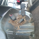 Pulled out the rear seat to access the rear O2 sensor on the exhaust. Filth left behind...